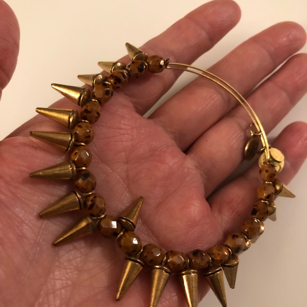 Alex and Ani bracelet